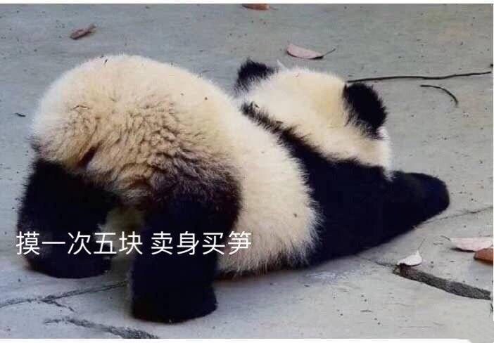 卖身电话是多少 合法求助渠道全解析