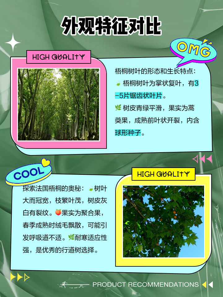 知秋的坚果在人们心里是一种什么美味?...