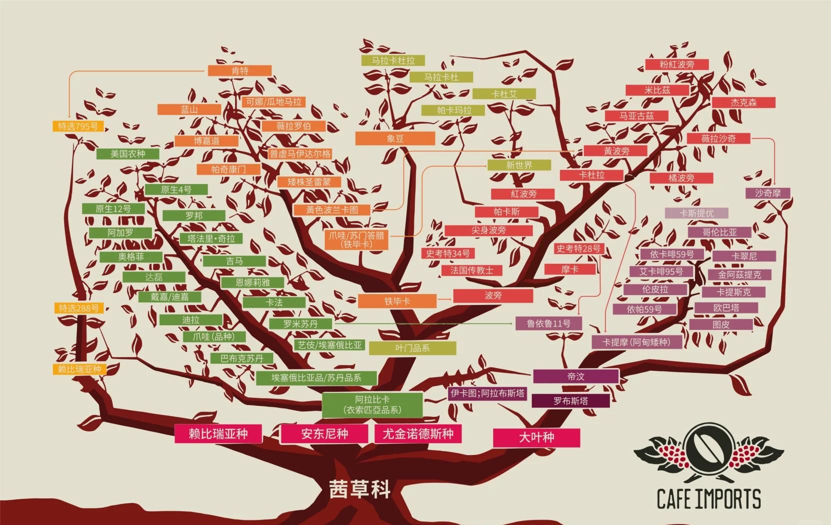 一粒粒小小的咖啡树的果实是如何影响大千世界?...