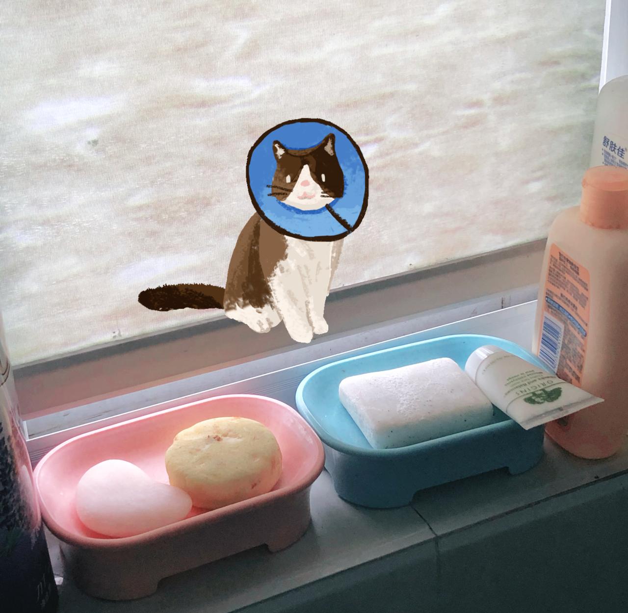 肥皂除了能洗手,还有哪些奇妙的功效?...