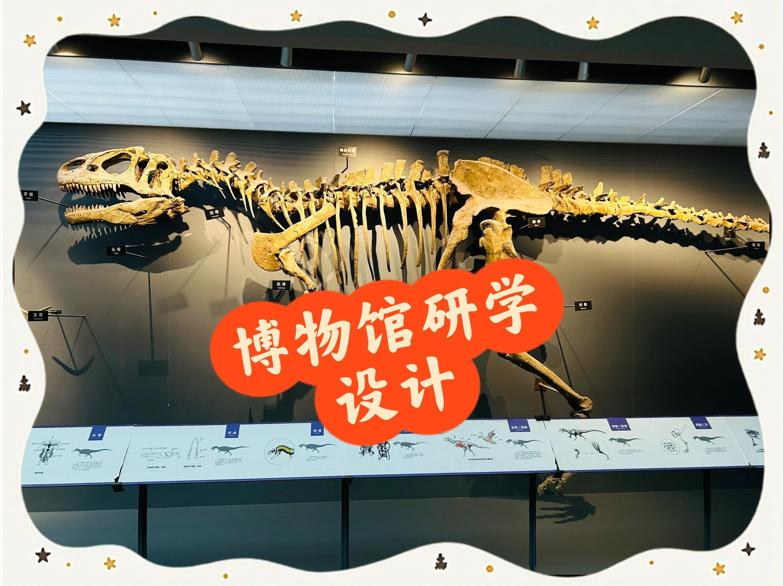 自然史与博物学有什么区别 ?...