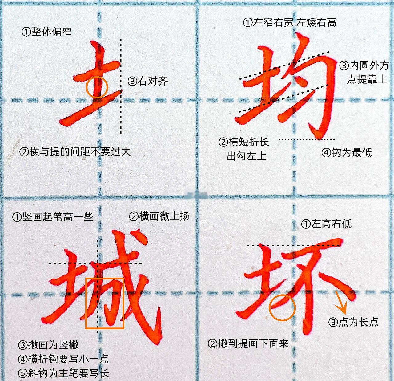 想要给智商加分怎么办？食不偏，唯喜肉...