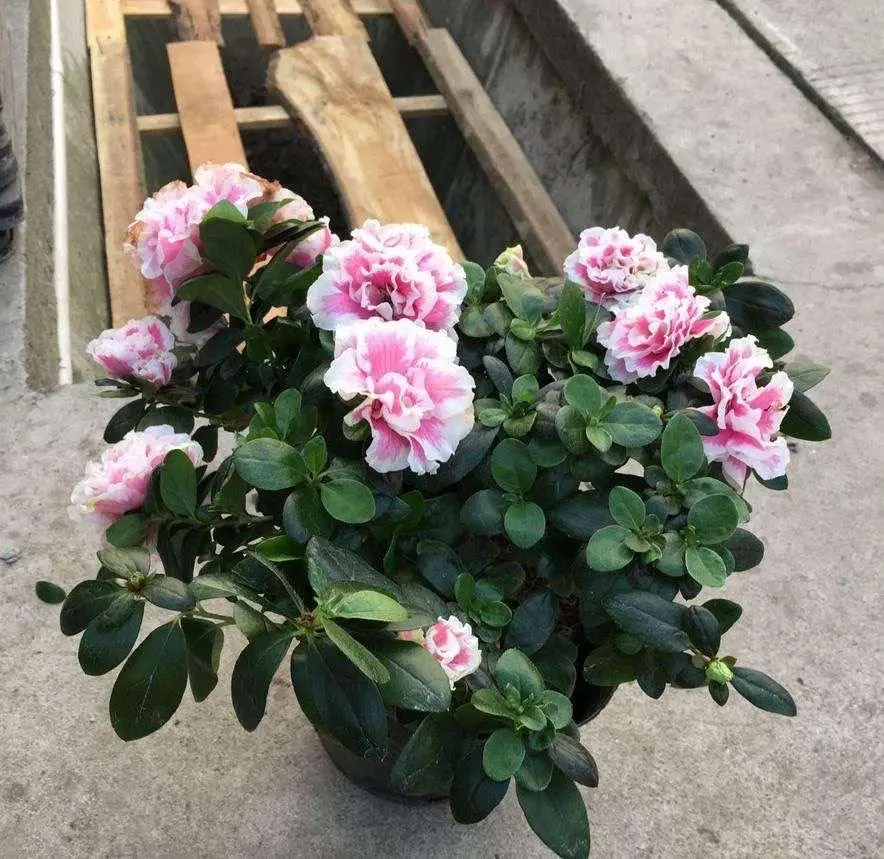 笔记本电脑价格区间 买一台性能好的笔记本需要多少钱