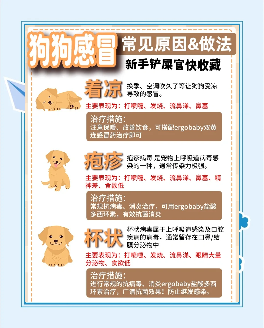 动物生病了怎么办 野生动物如何自愈