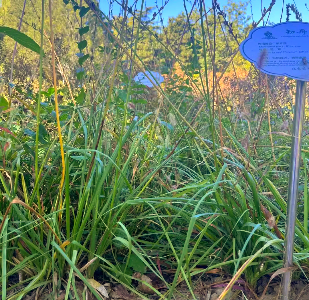 西方博物学家来到中国经历了什么?...