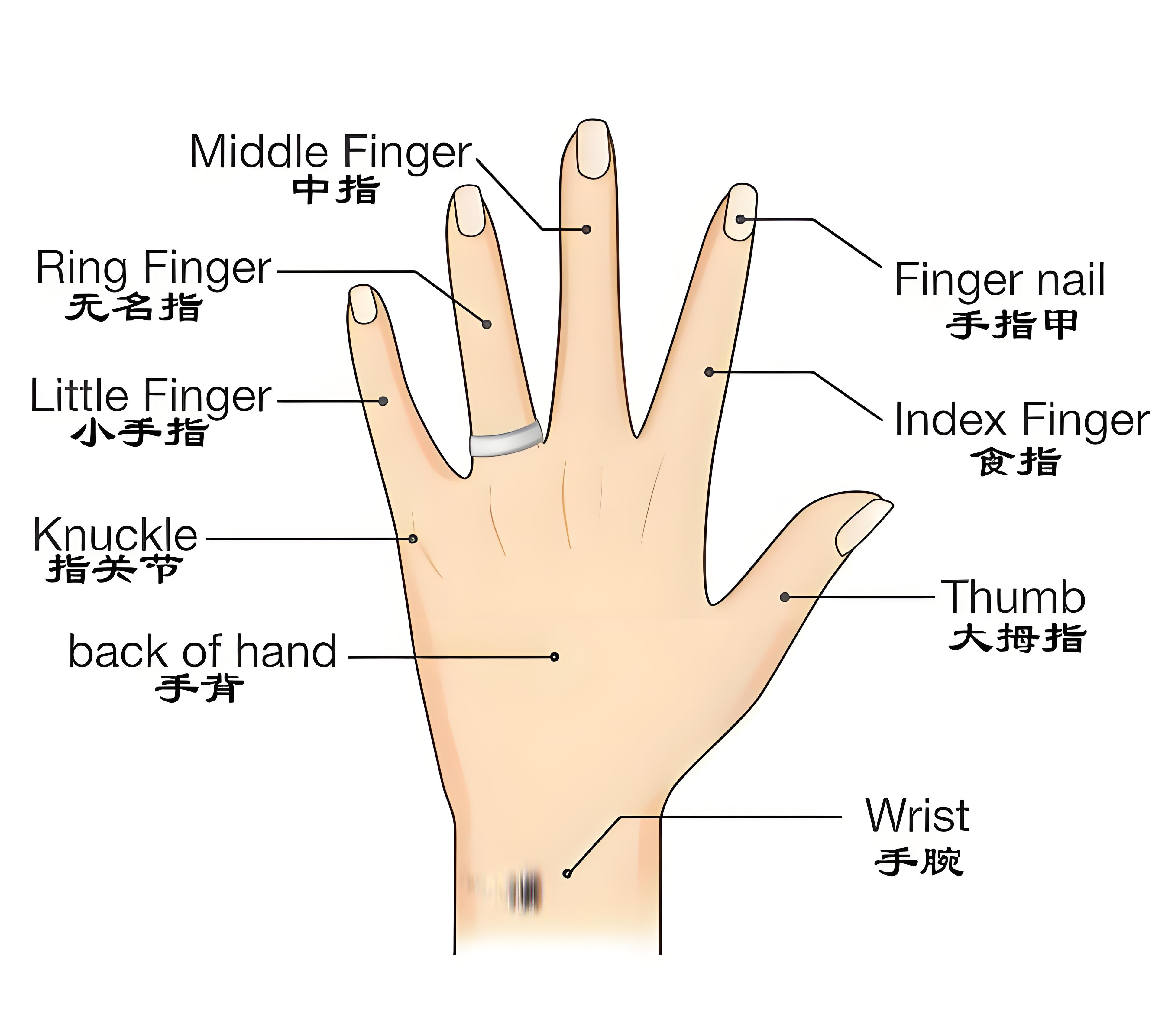 培养数感难道离不开掰手指头?是的...