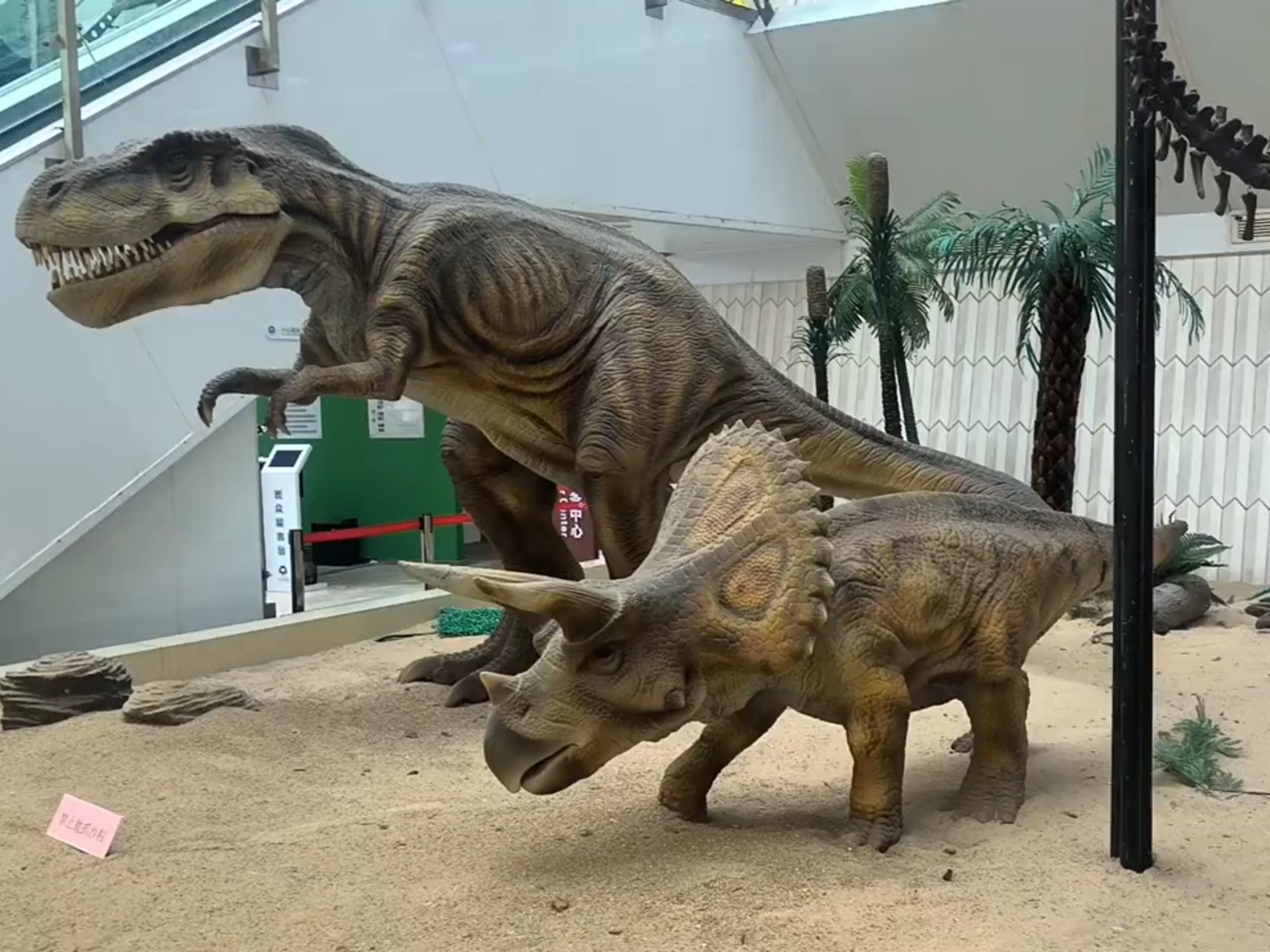 琥珀化石中现新生命，科学家：此前仅发现两次，很罕见...