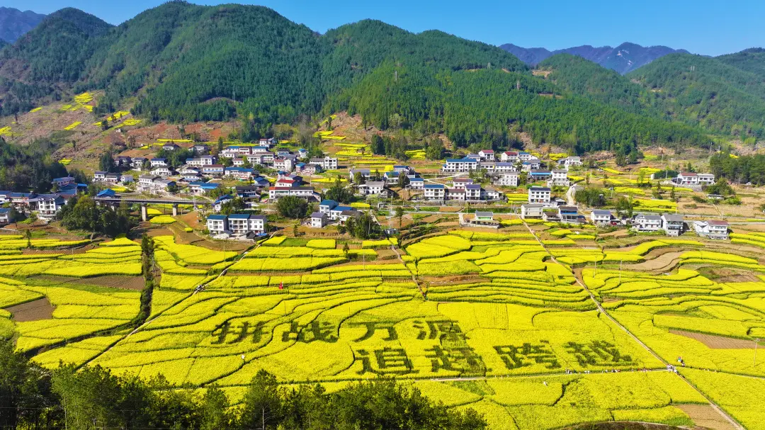 万源经纪介绍空降做什么用？——四川万源市全方位解析