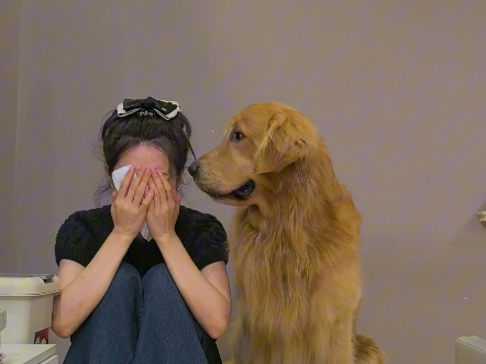 猫咪经济学:谁不想来点猫呢?...