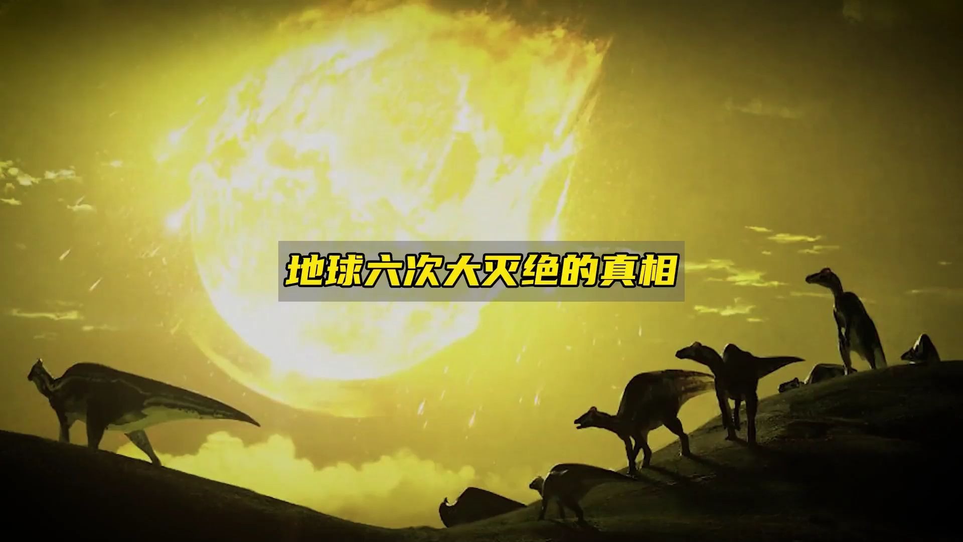 人类灭绝了多少物种 ?...