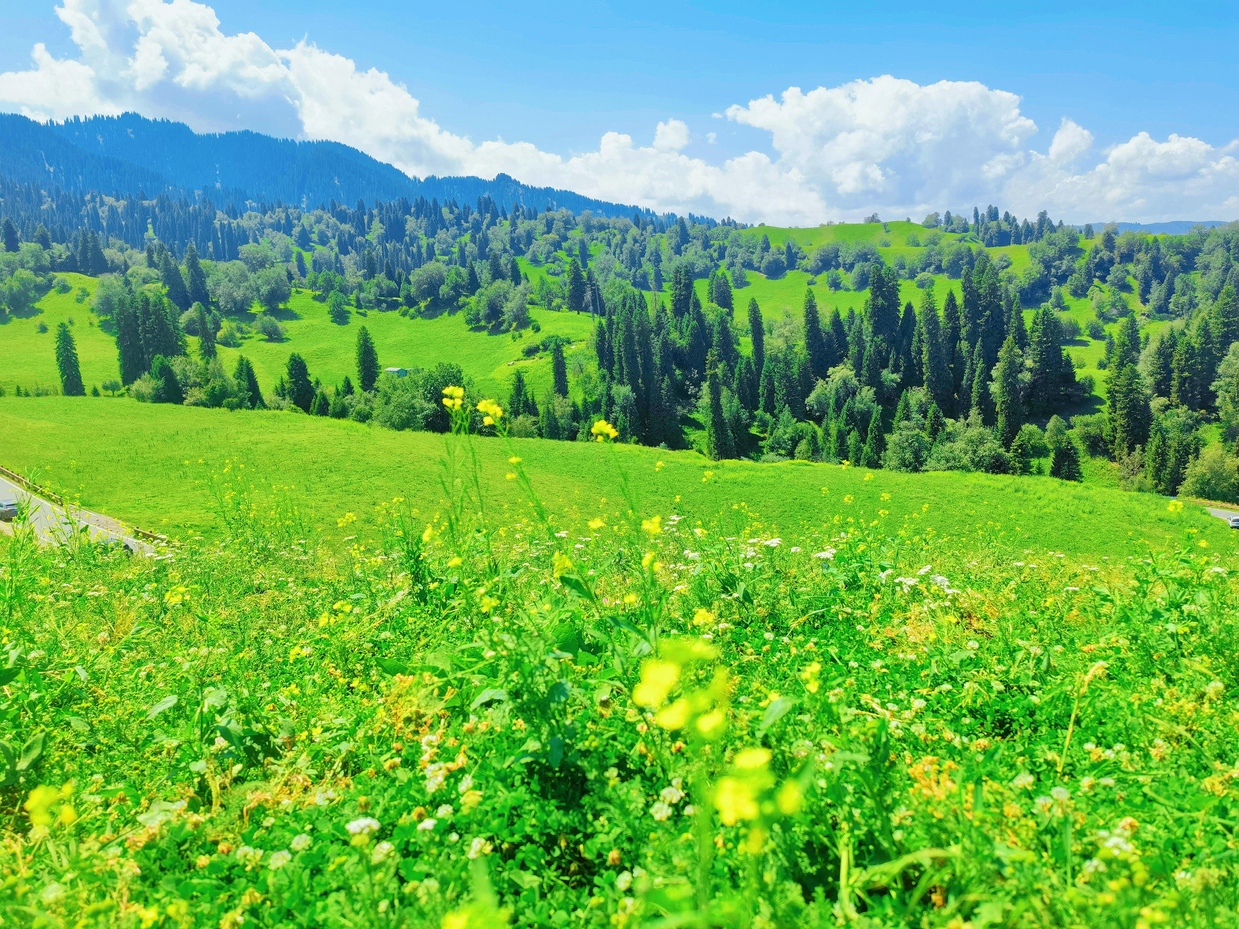 为什么克什克腾世界地质公园令人神往?...