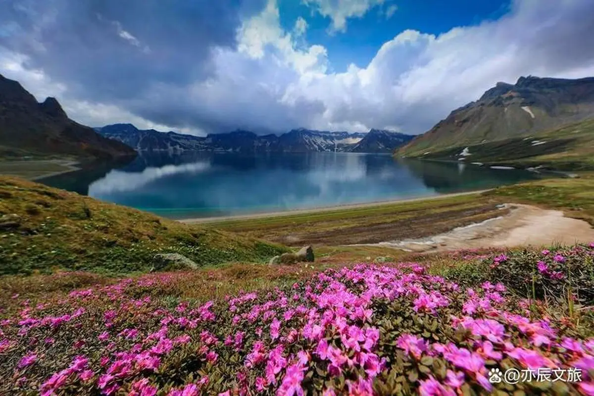 白山空降女友滴滴约是真的吗