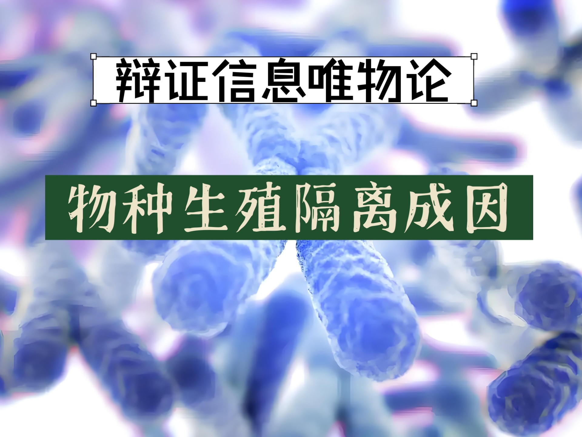 资本主义国家政治特点 第二次工业革命影响