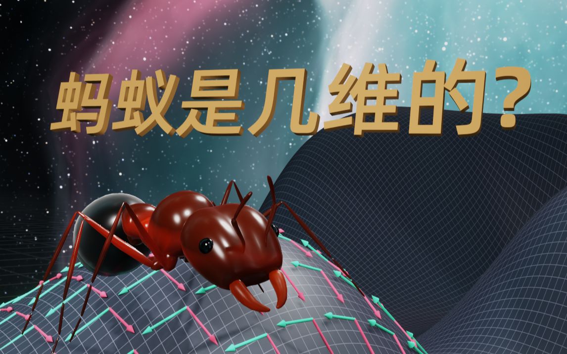 蚂蚁在纸面上可以发现三维空间吗?...