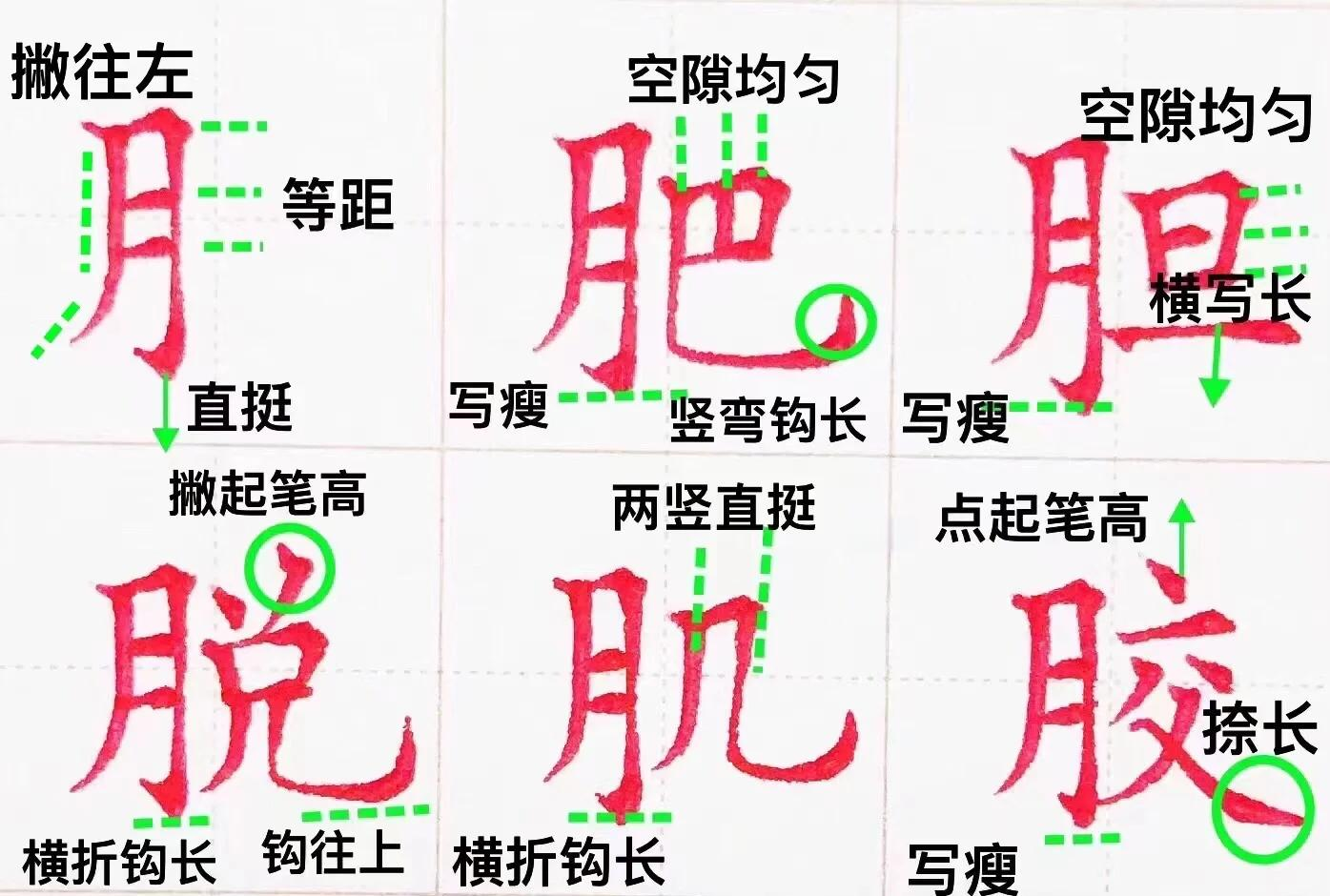 饭的偏旁叫什么 食字旁的字大多与什么有关