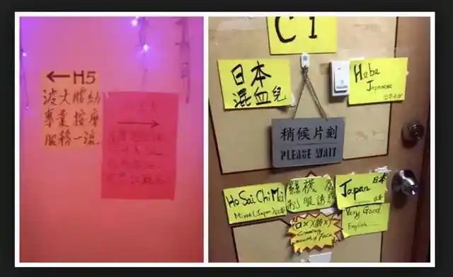 楼凤宫论坛的隐秘生态,网络灰色地带的生存逻辑