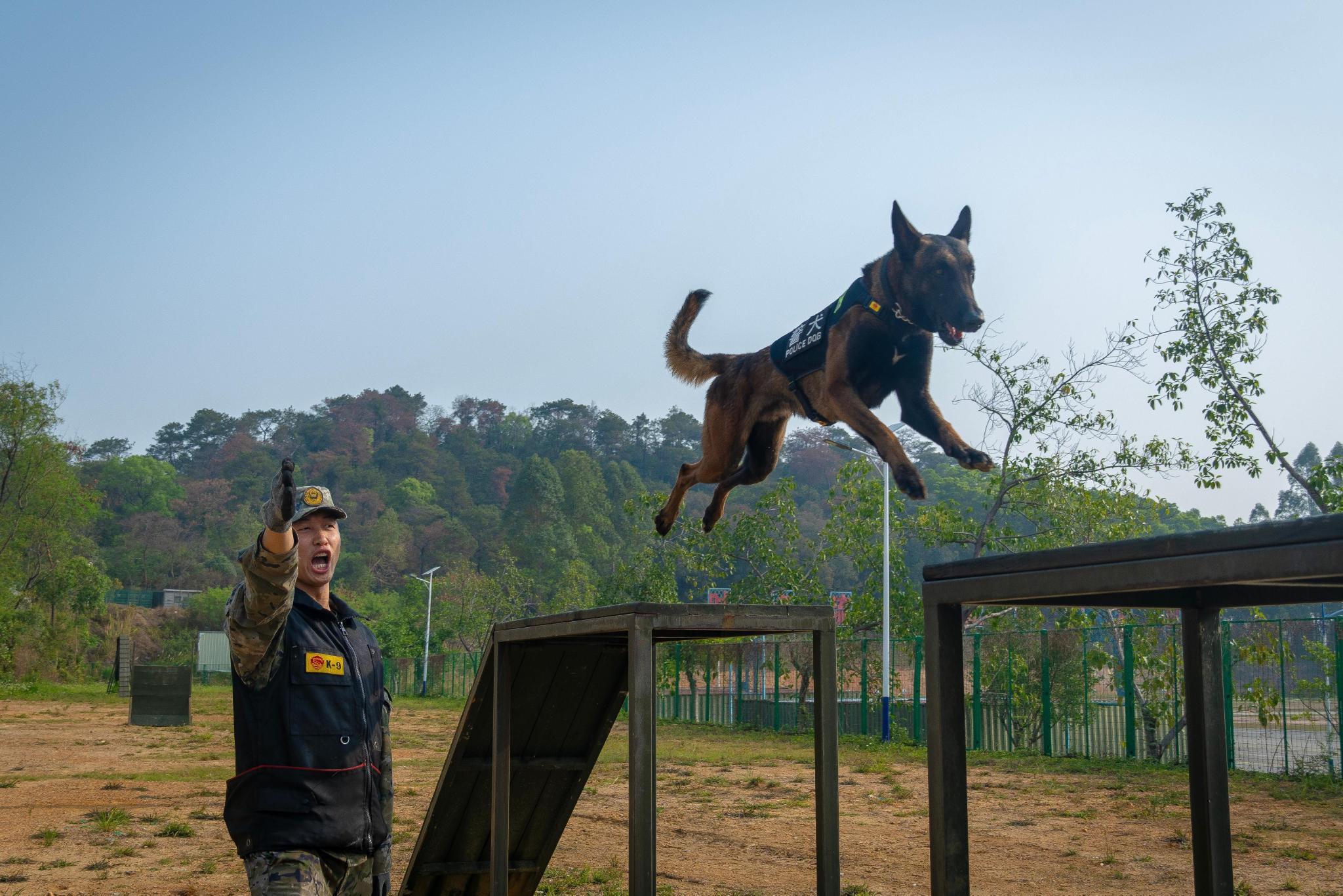 军犬装备有多豪华 军犬的生活是怎样的