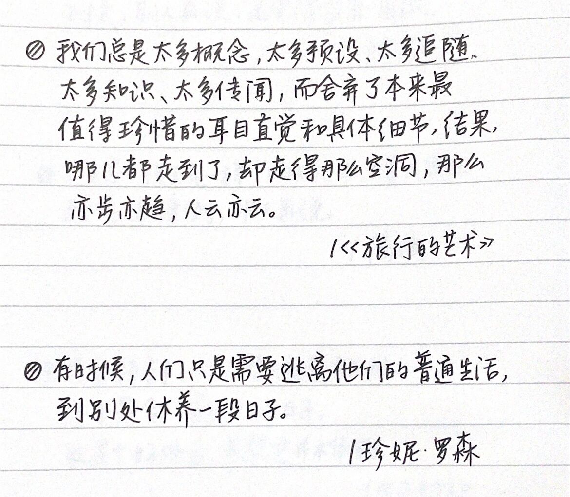 新乱世佳人剧情解析 人生抉择的诗意哲理