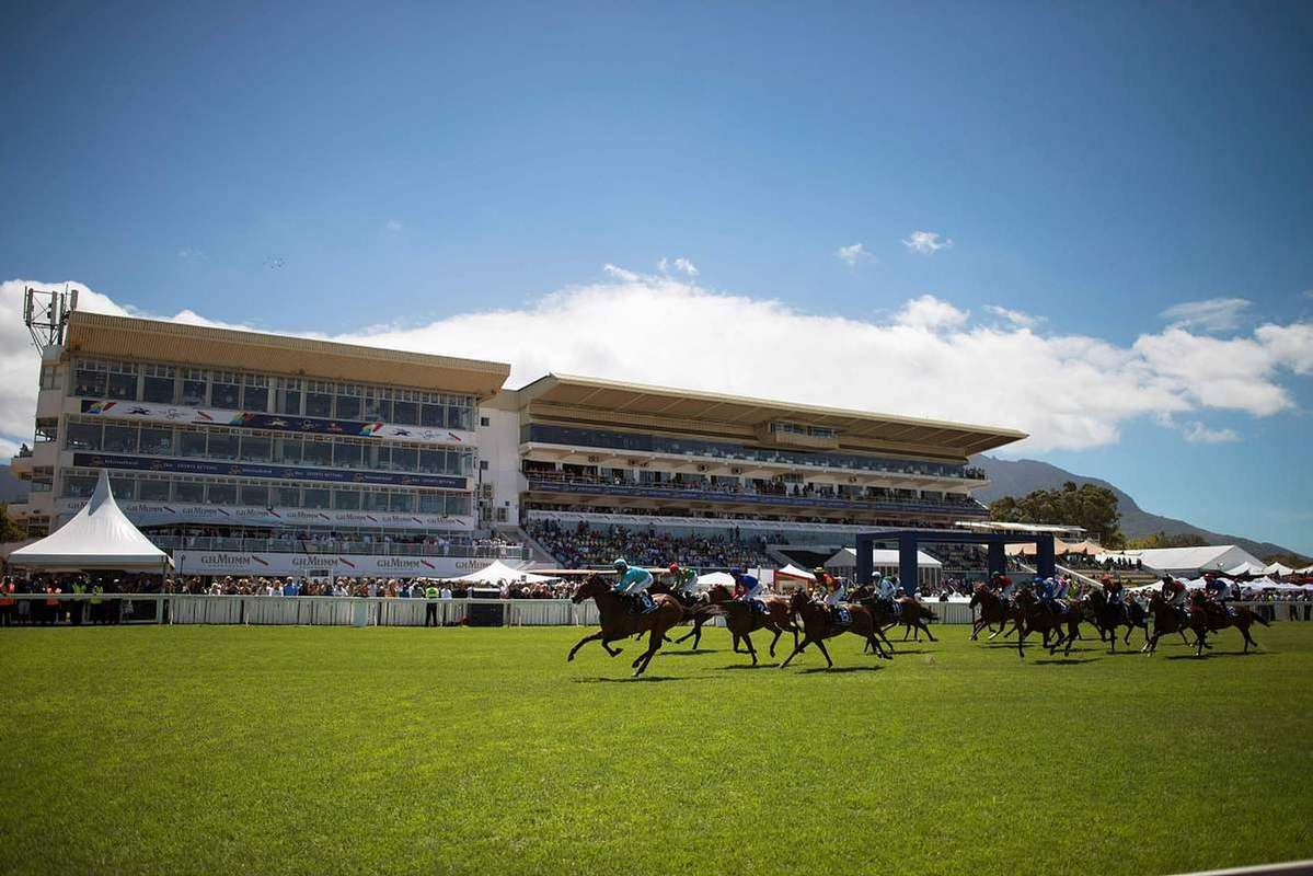 肇庆女骑手接单暗号与有趣的生活小妙招