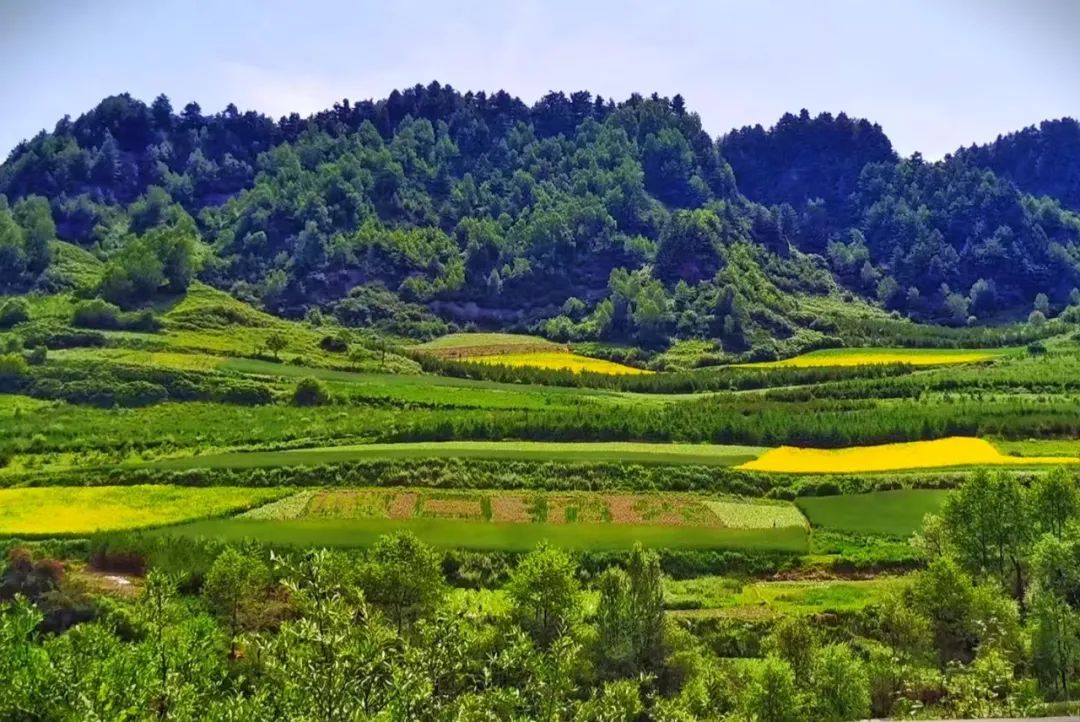 寻找渭河之源:秦川八百里,渭河接纳了多少支流?...
