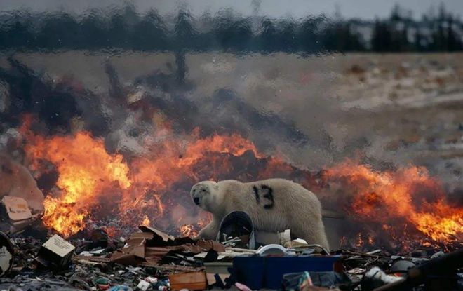 澳洲大火持续多久 对全球气候有哪些影响