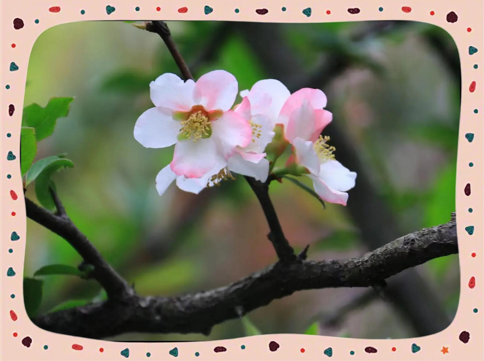 生命的化妆 林清玄生命化妆主旨