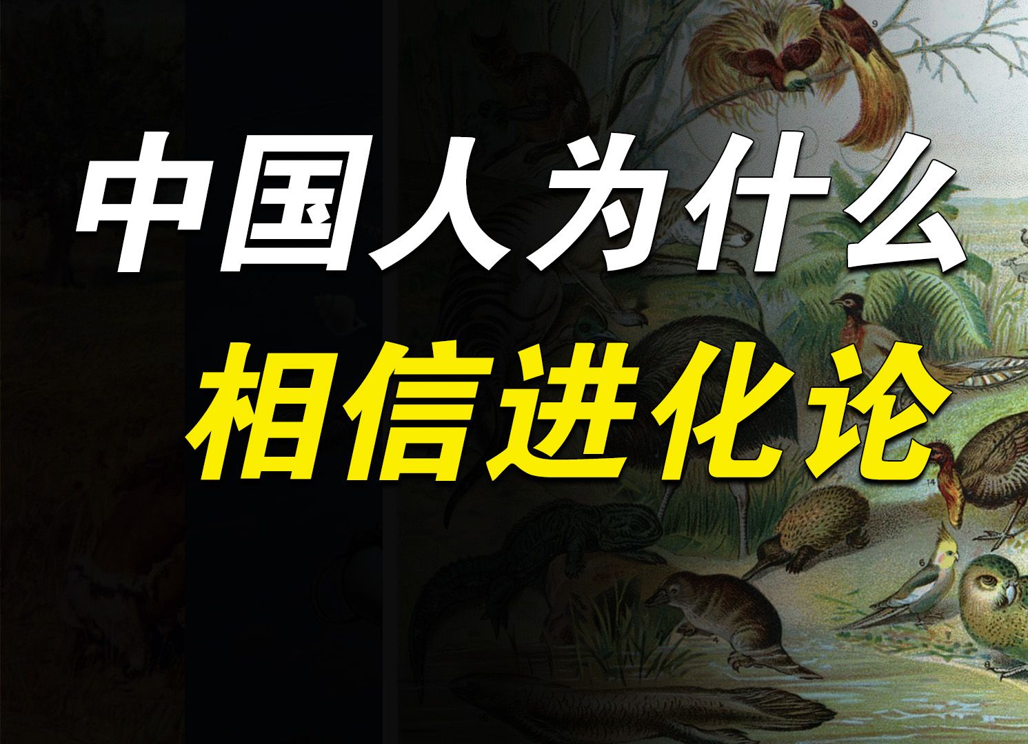 为什么有的人不相信进化论?...