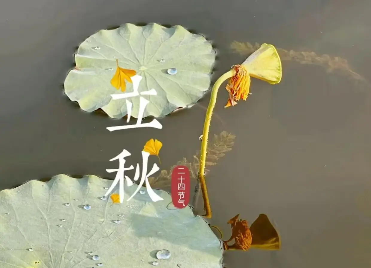 为什么要“贴秋膘”?...