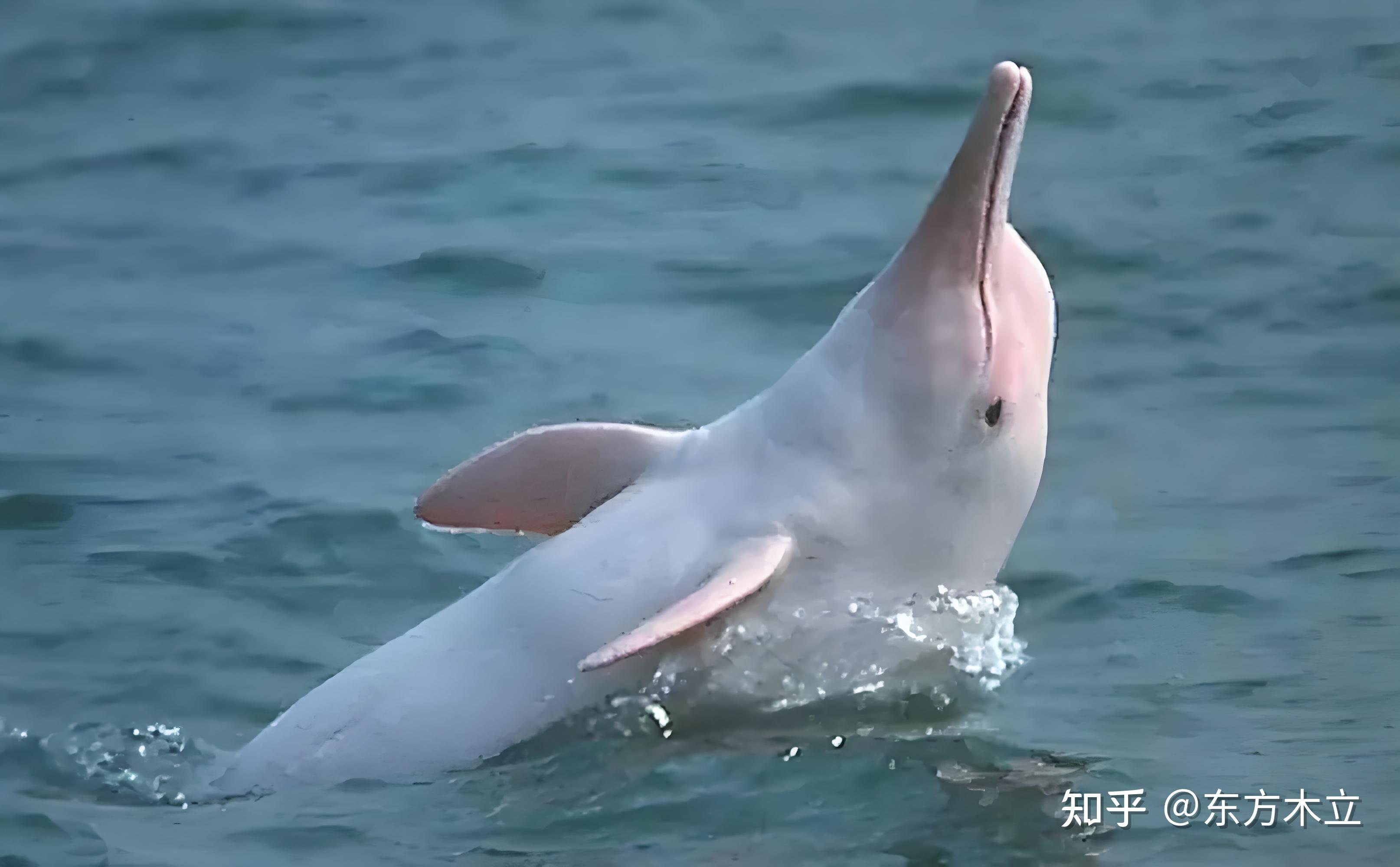 提升自己的好习惯有哪些 健康生活习惯大盘点