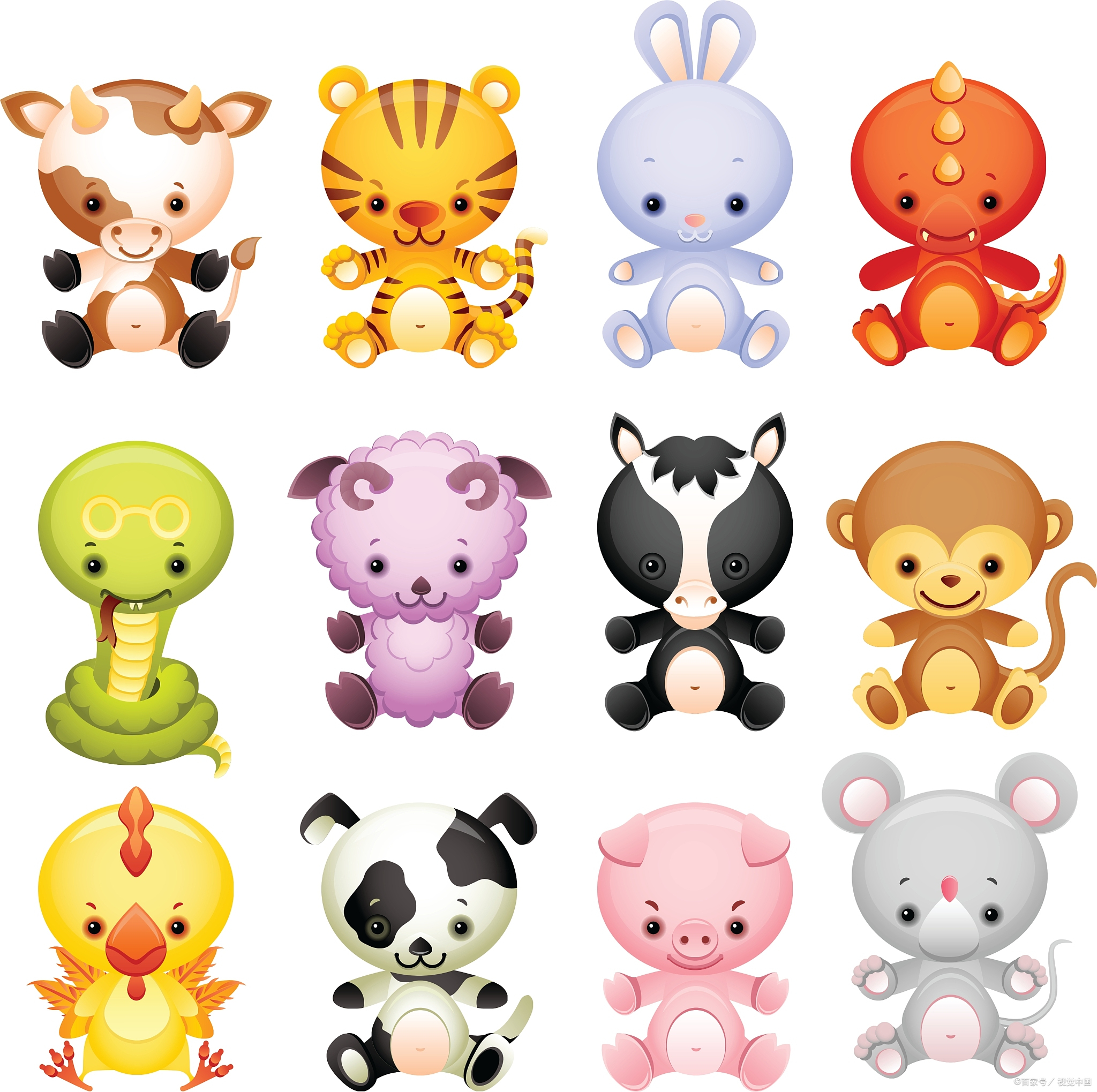 什么动物最长寿?