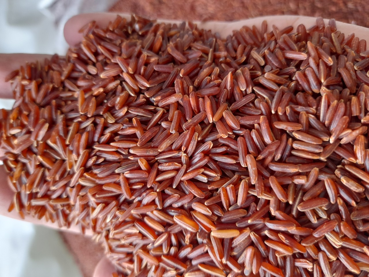 红米K40手机配置 荣耀V40轻奢版对比分析