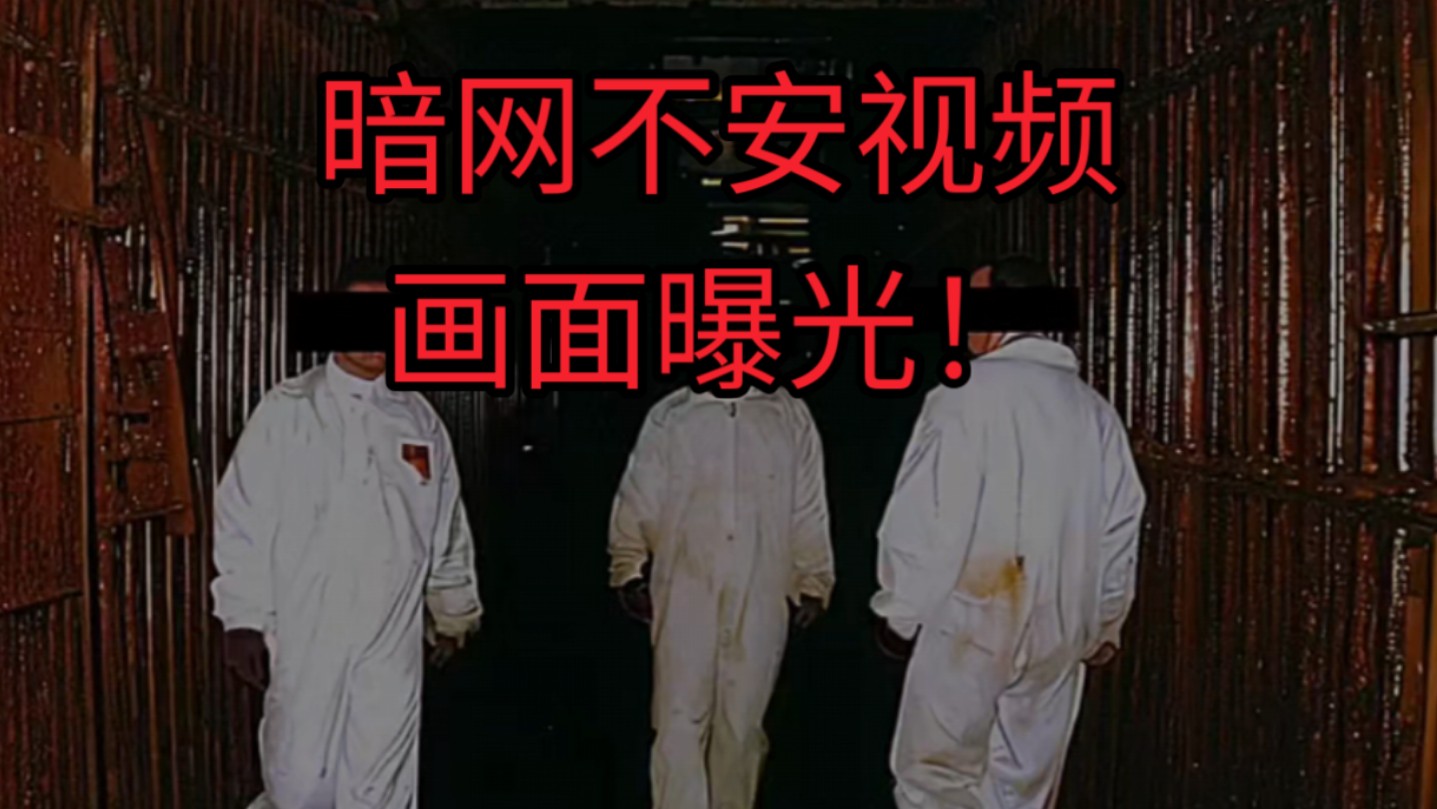 暗网最大黑市“阿尔法湾”该考虑IPO上市了?...