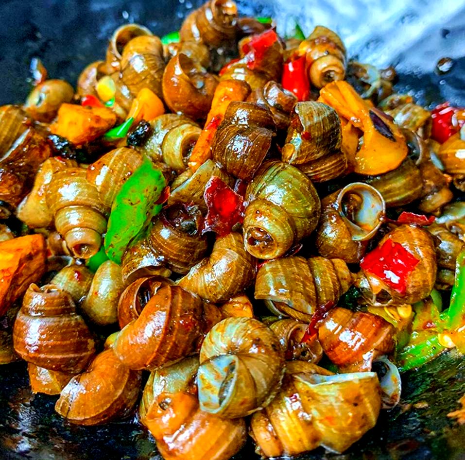 辽阳快餐探秘分享及推荐指南