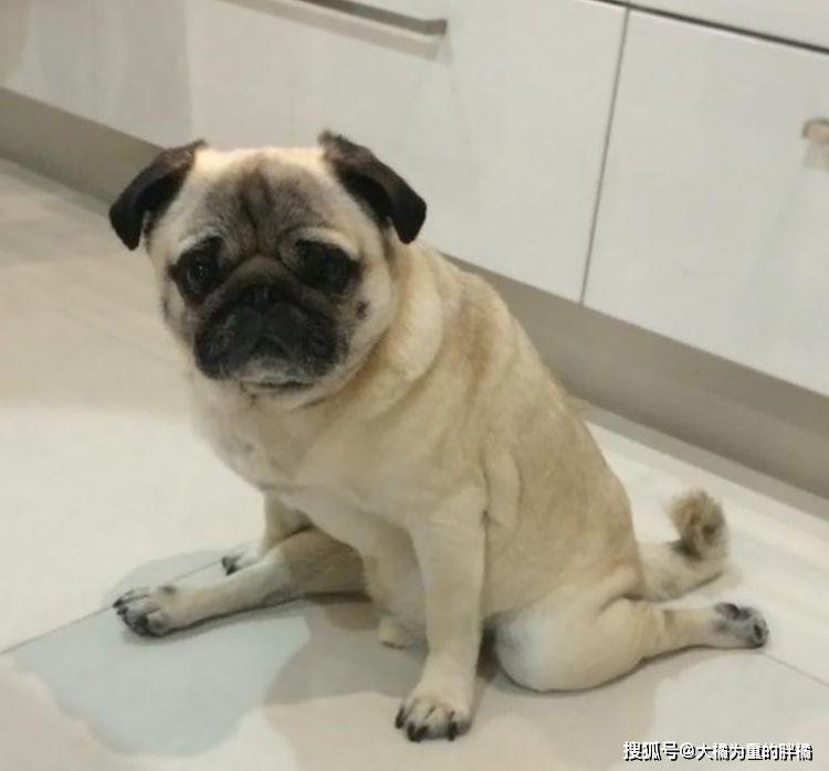 健身焦虑?你自律的朋友正在抛弃你...