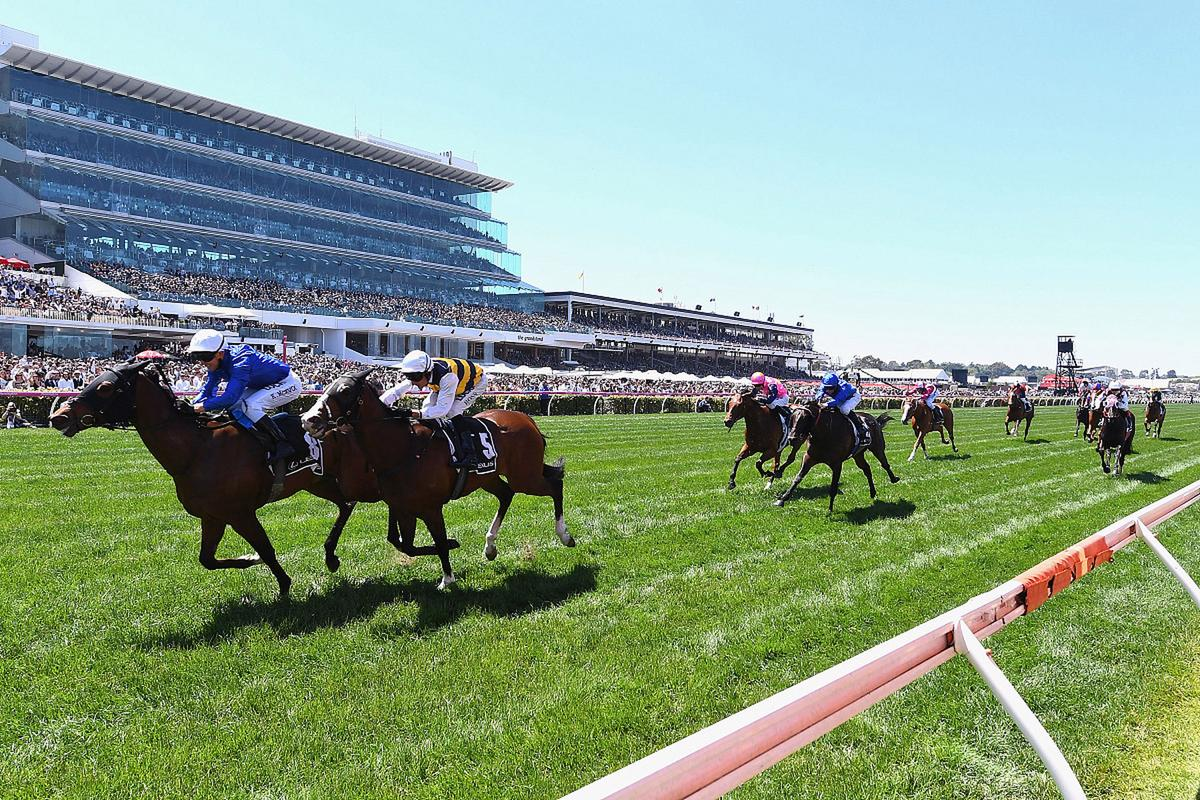 肇庆女骑手接单暗号