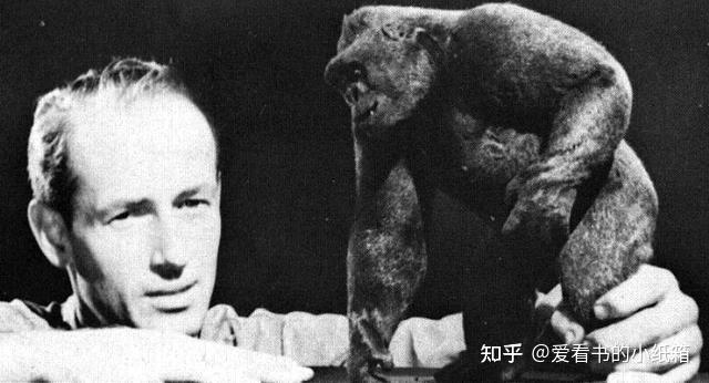 人类黑猩猩生殖隔离 能否产生杂交后代