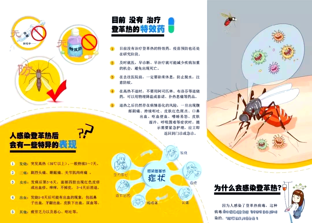 消灭全世界蚊子会怎样 蚊子灭绝对生态链的影响