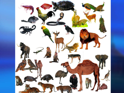 新冠病毒的出现是否意味着,地球上随时都可能有新物种...