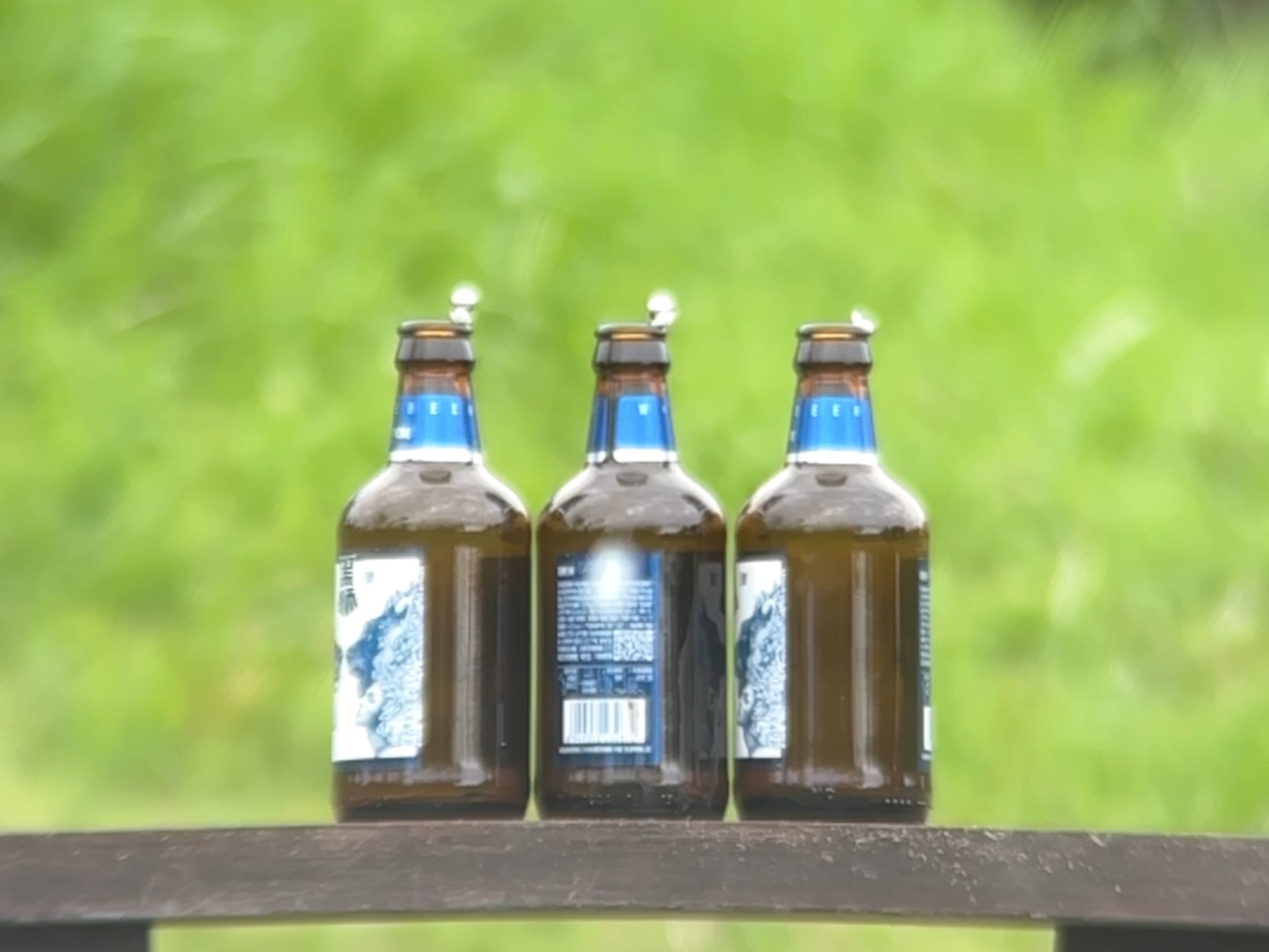 如何储存绿叶菜才能保存更长久?...