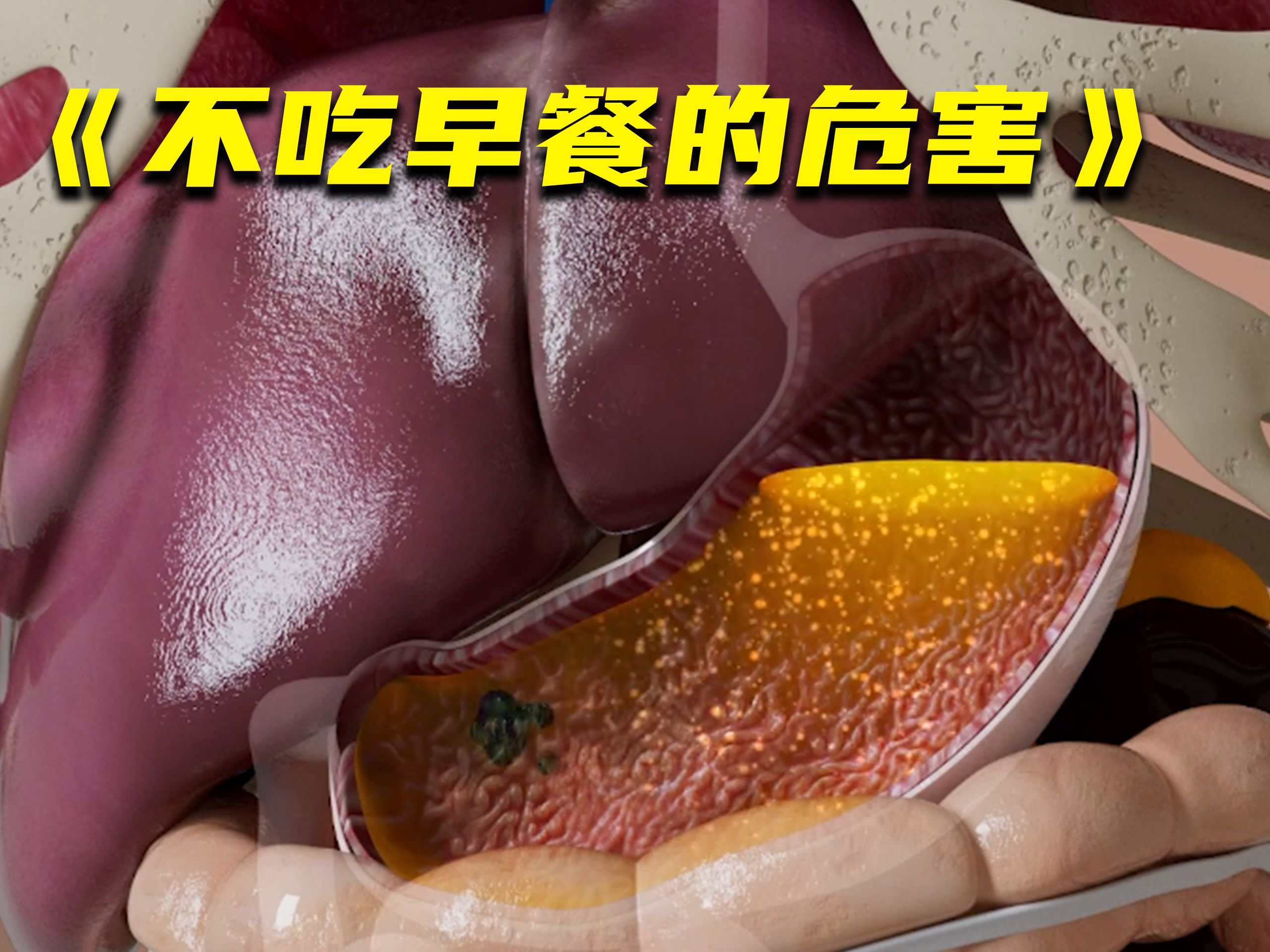 早餐到底该不该吃 不吃早餐的危害有哪些