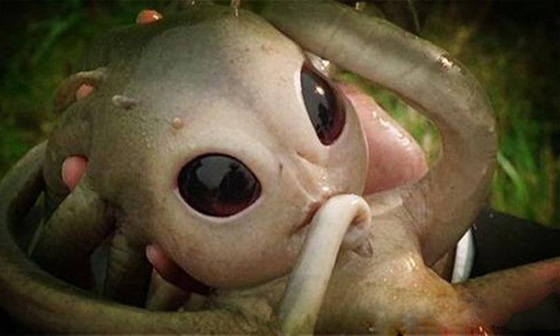 “外星婴儿”从天而降?发生在上个世纪的前苏联,你相...