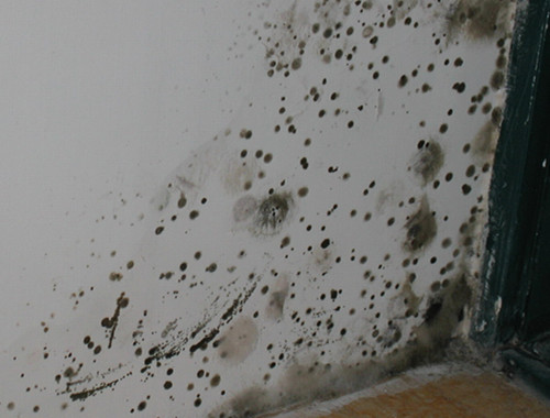 纽约精英妈妈有多拼?跟她们一比,中国母亲买学区房根...