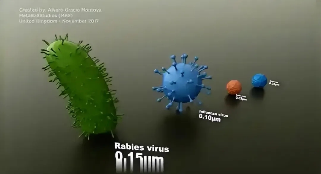 病毒终极目的解析 病毒为何不杀死宿主