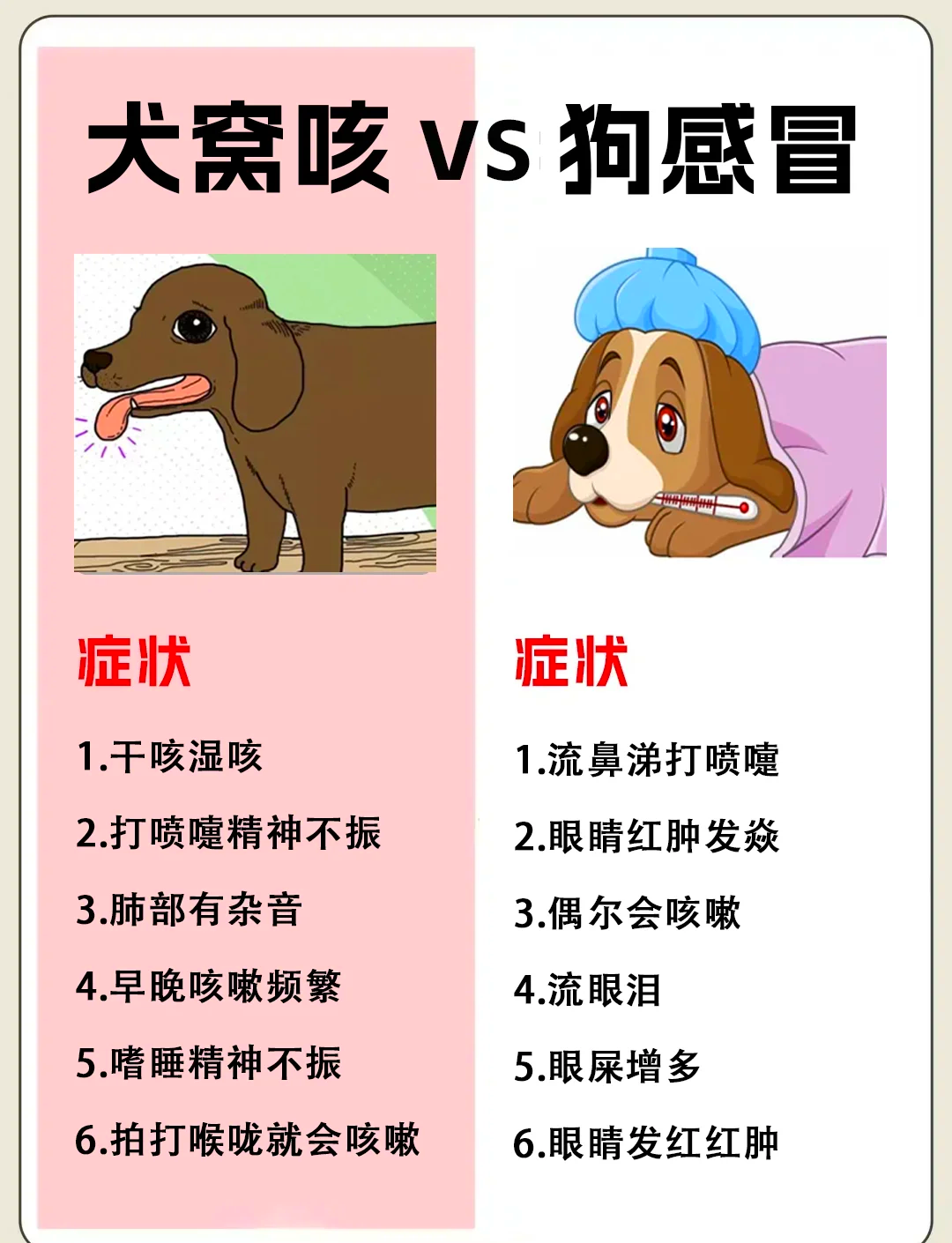 动物没有医生?那么它们生病或者感染病毒怎么办?...