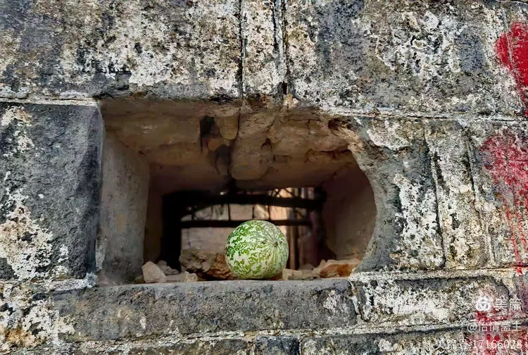 免费风楼阁信息探秘,揭开古建筑数字化保护的创新路径