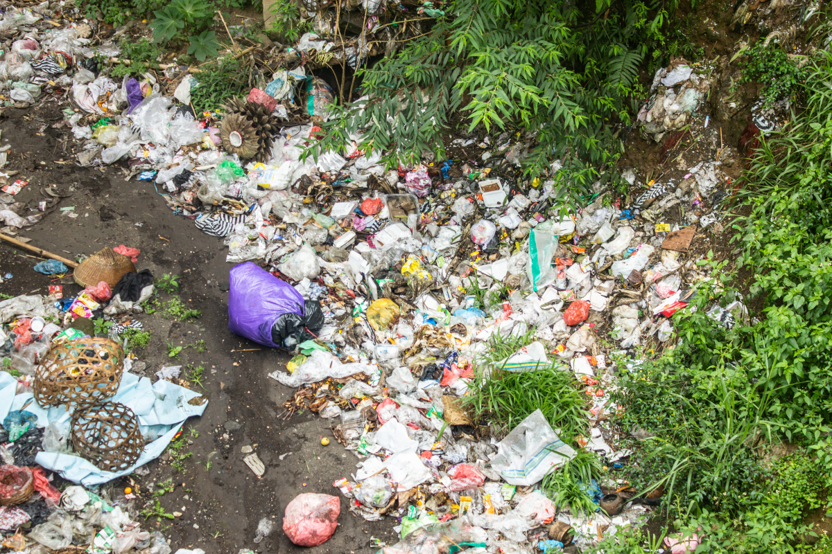 垃圾分类难题破解 茶叶渣妙用大全