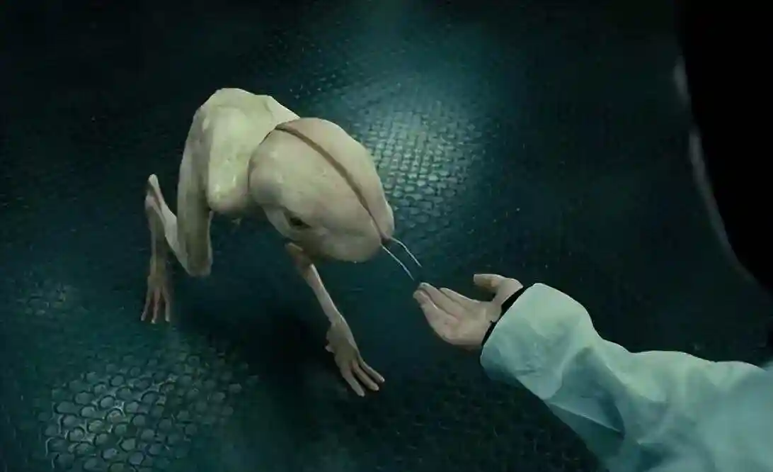 日本科学家进行人兽杂交胚胎 实验目的与争议解析