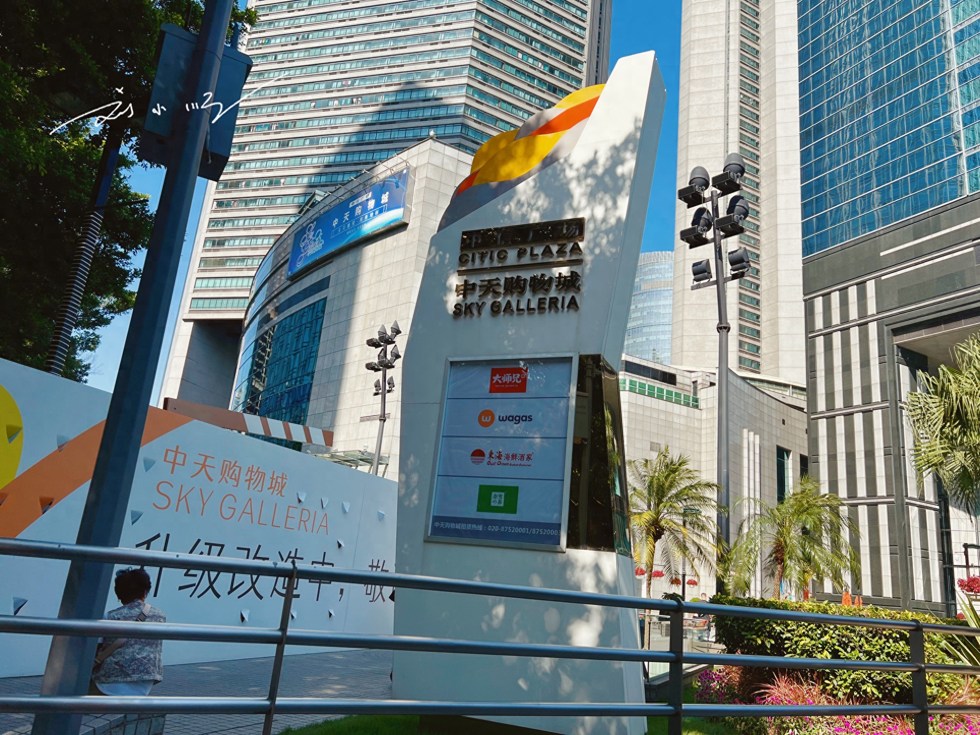 天河区品茶全攻略：从老广茶楼到网红新派的舌尖漫游