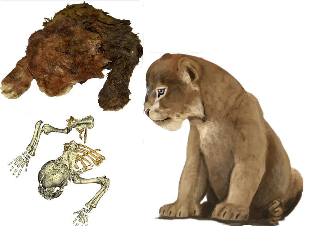 西伯利亚发现万年生物 永久冻土融化说明了什么