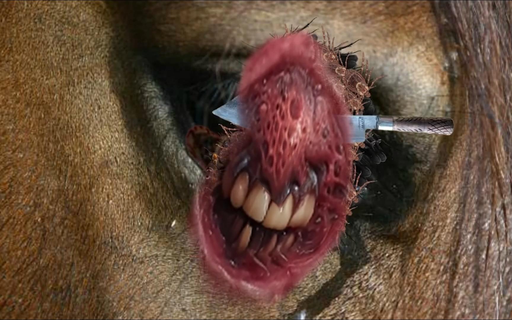 国际关注焦点：男用充气马眼棒的使用技巧与全方位操作指南